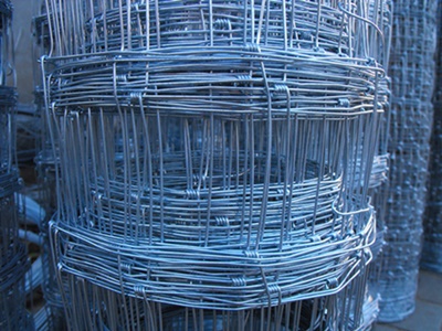 siatka leśna 50m rolka ocynkowana